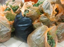 حيفا: ضبط مختبر لزراعة وترويج المخدرات