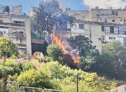 *اندلاع حريق في منطقة أشواك بين منازل في حيفا*