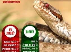 مع اشتداد حرارة الصيف.. الأفاعي تستيقظ من سباتها ومؤخراً نجمة داوود الحمراء تسعف عشرات المصابين في البلاد
