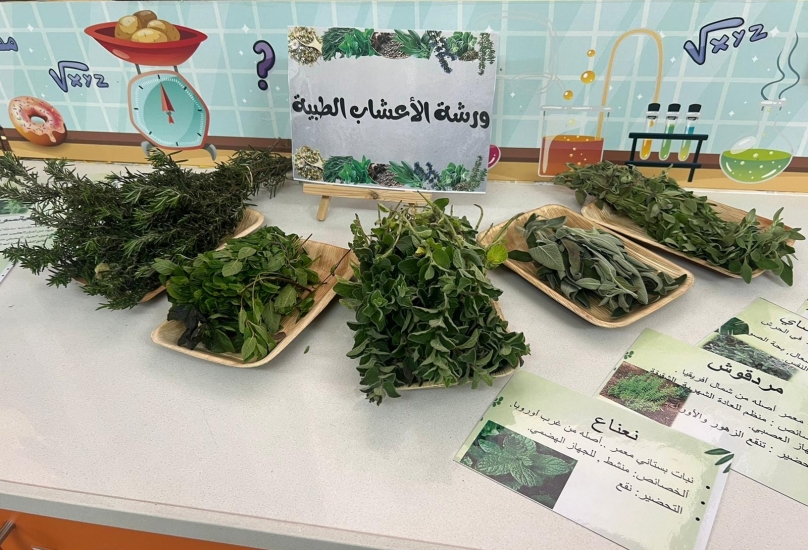 صورة من الفعاليات
