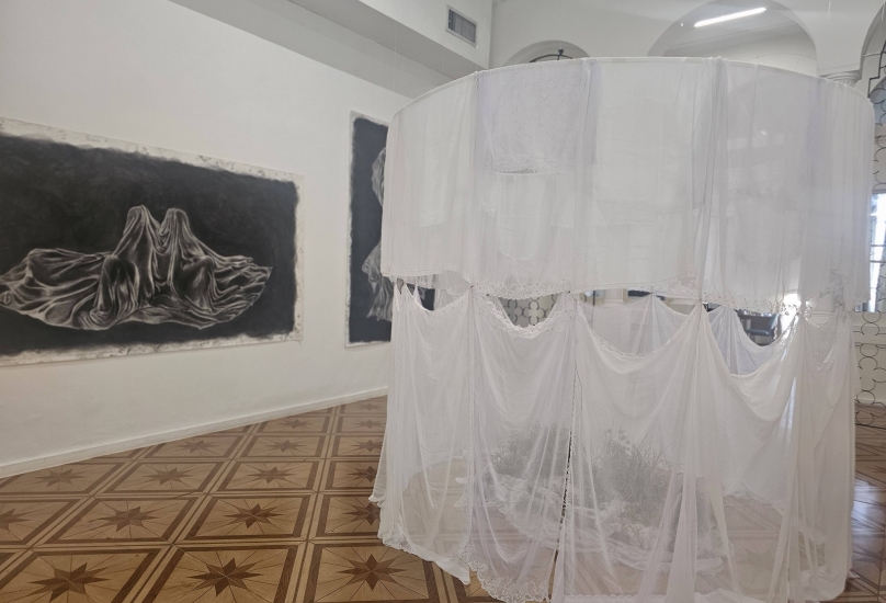 تصوير مندوبة حيفا24نت